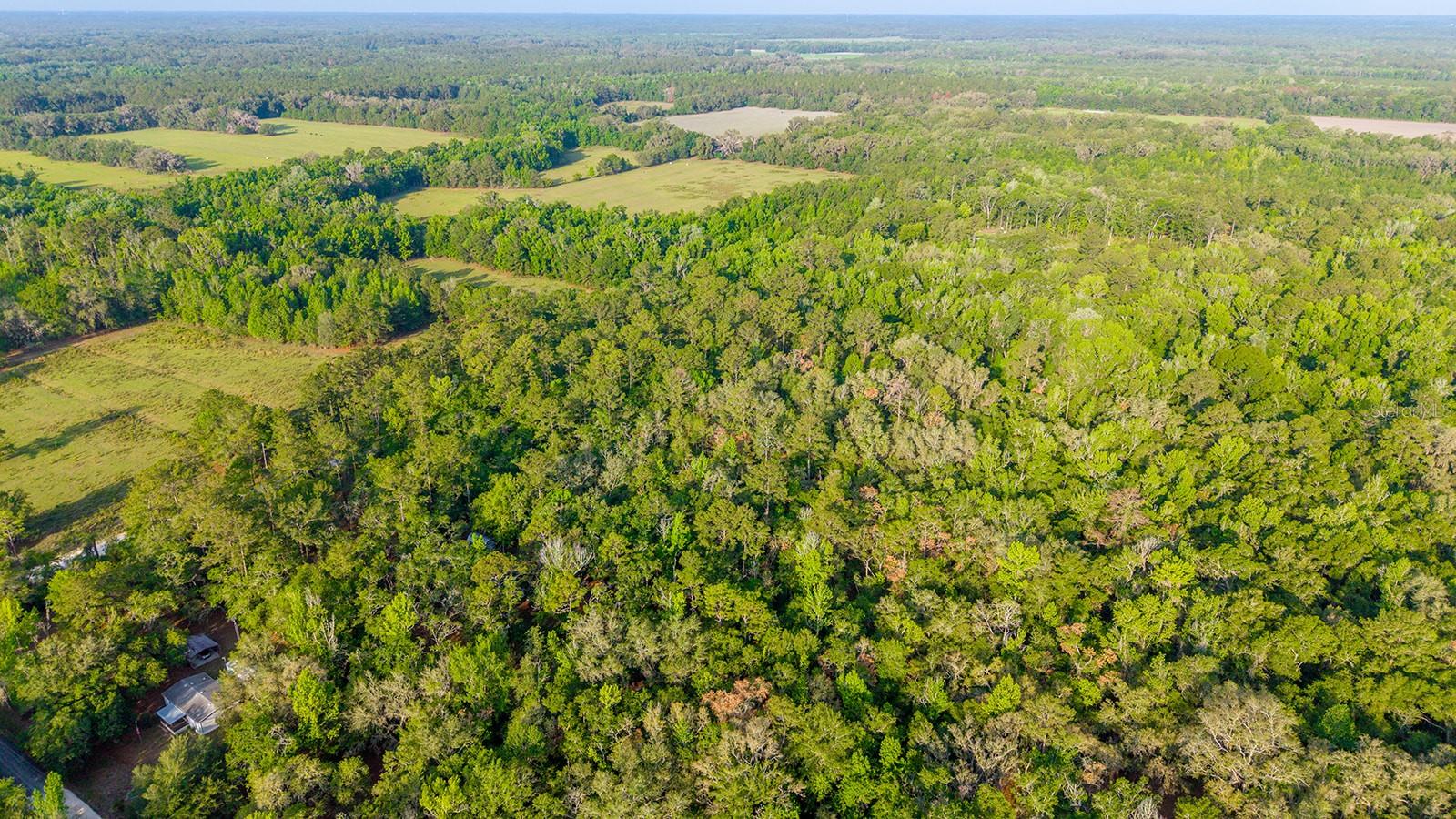 1708 NW 230TH PL, BROOKER, FL, 32622