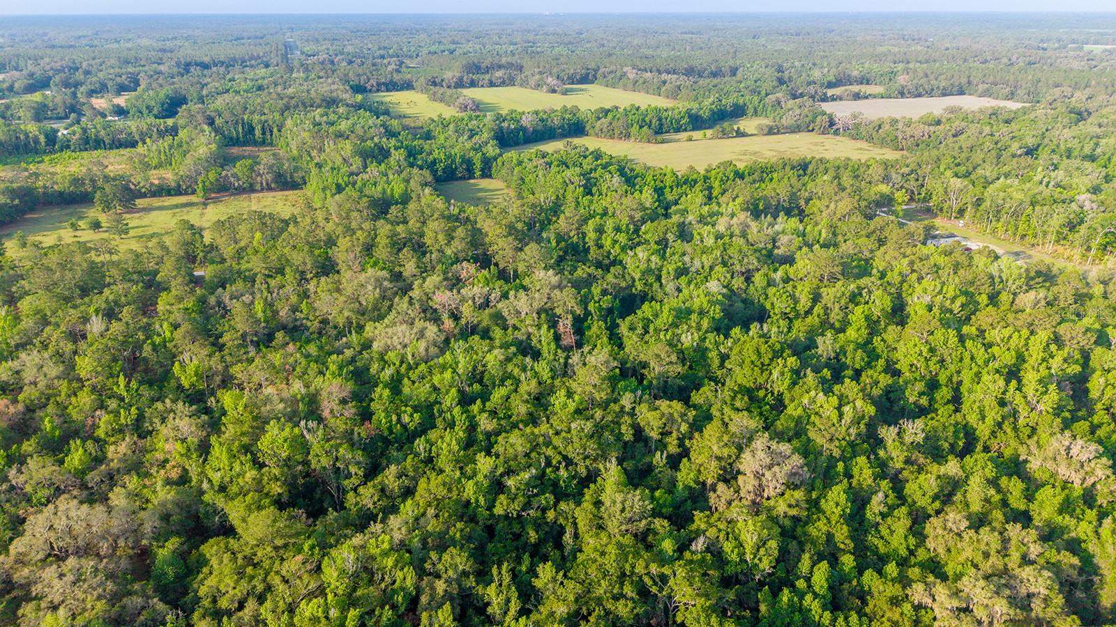1708 NW 230TH PL, BROOKER, FL, 32622