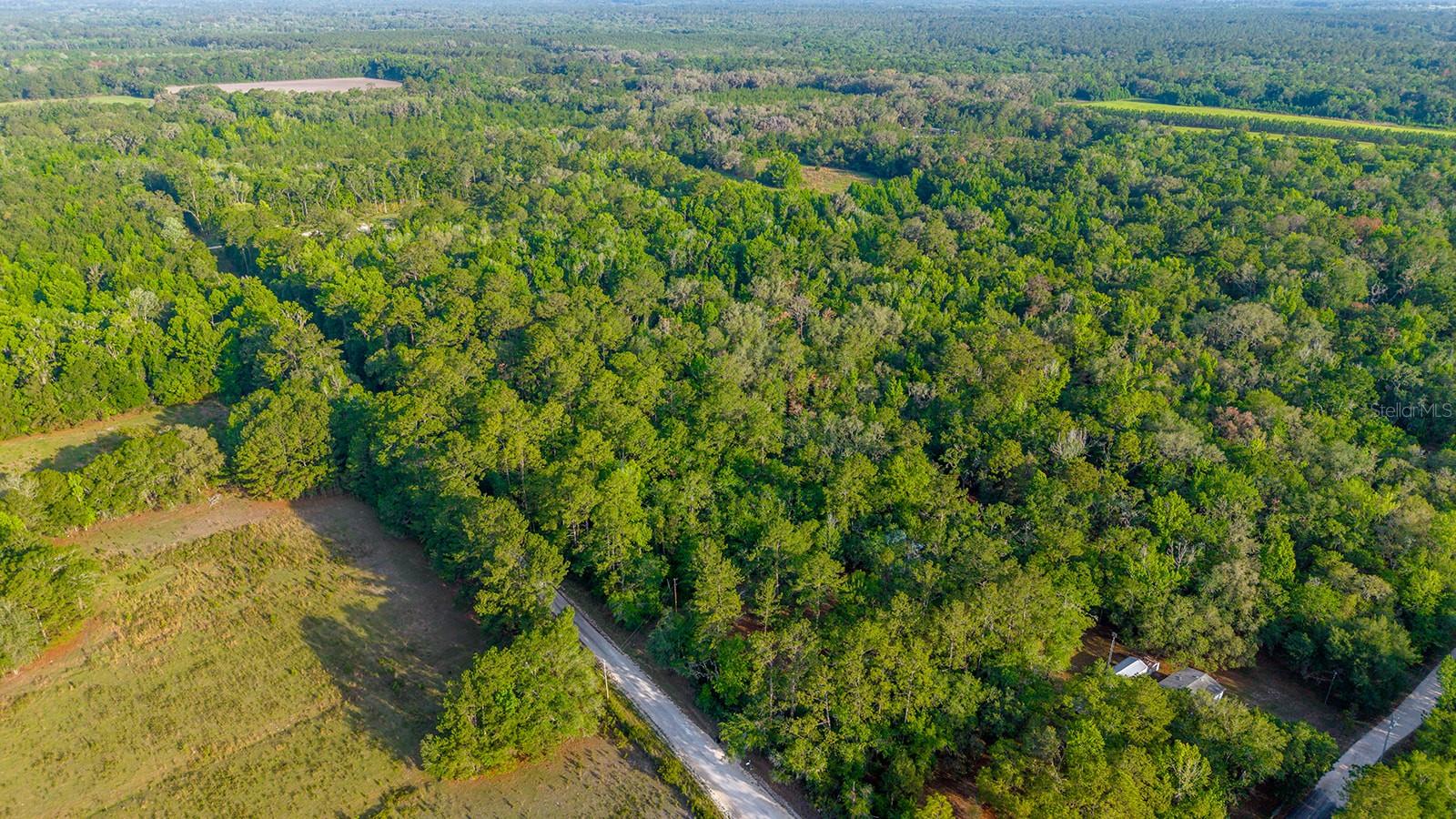 1708 NW 230TH PL, BROOKER, FL, 32622