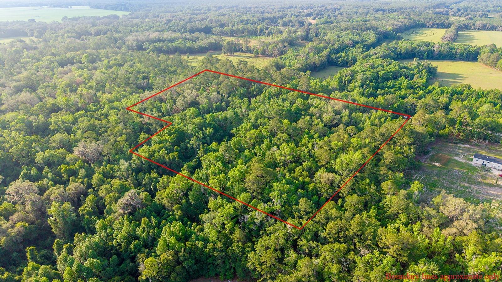 1708 NW 230TH PL, BROOKER, FL, 32622