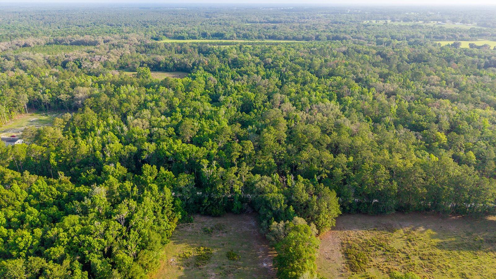 1708 NW 230TH PL, BROOKER, FL, 32622