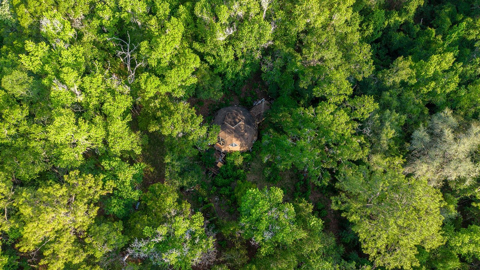 1708 NW 230TH PL, BROOKER, FL, 32622