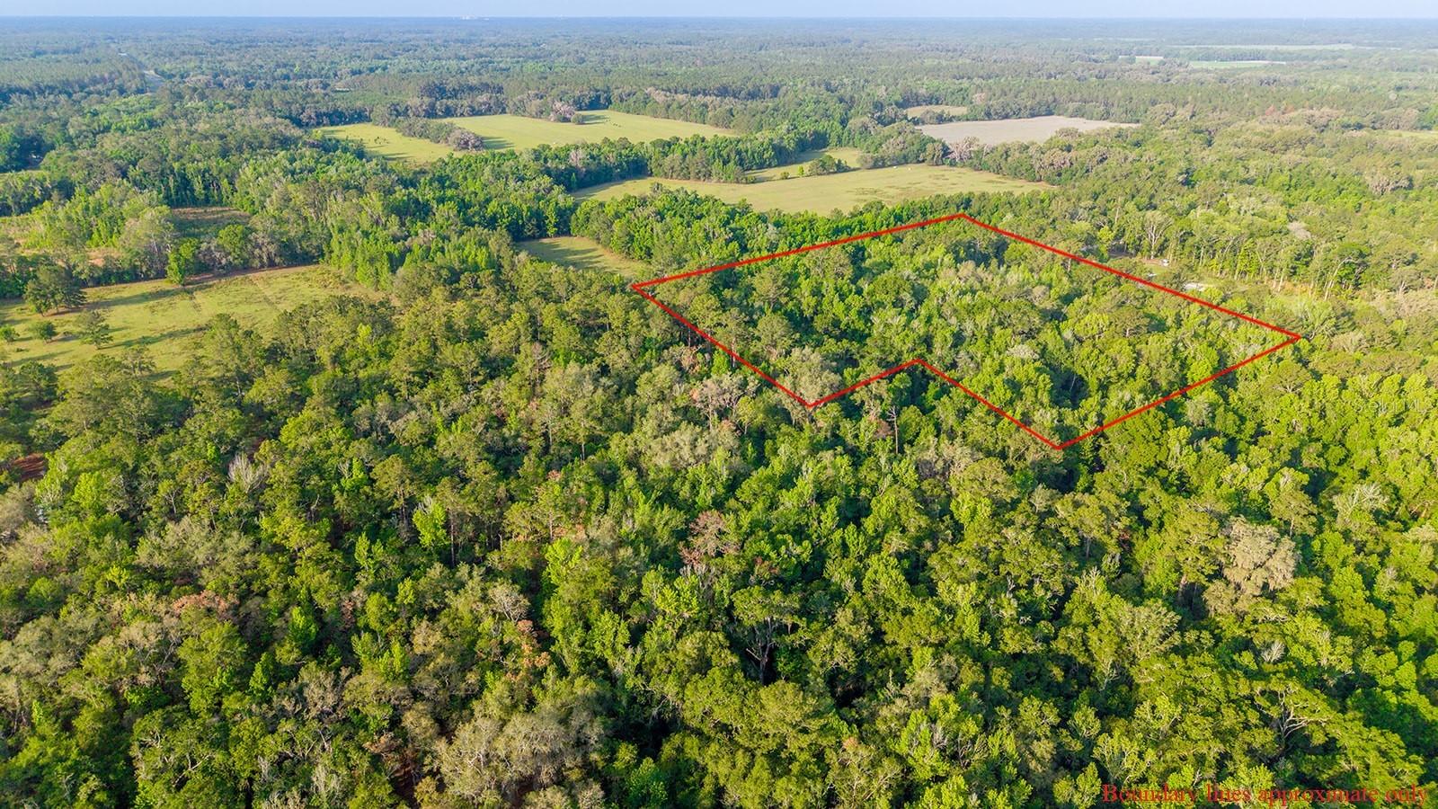 1708 NW 230TH PL, BROOKER, FL, 32622