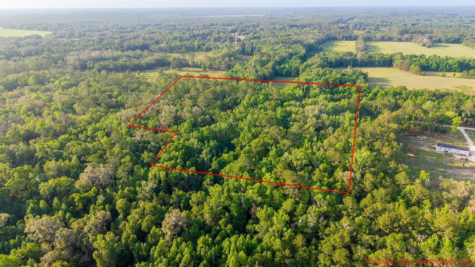 1708 NW 230TH PL, BROOKER, FL, 32622