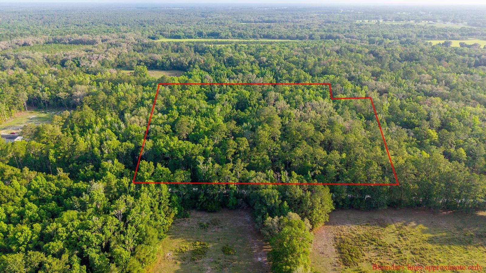 1708 NW 230TH PL, BROOKER, FL, 32622