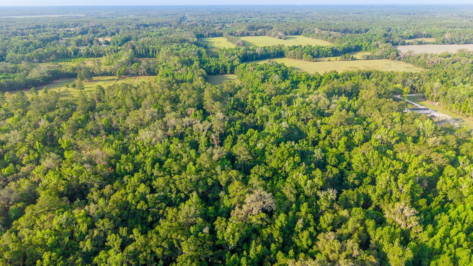 1708 NW 230TH PL, BROOKER, FL, 32622