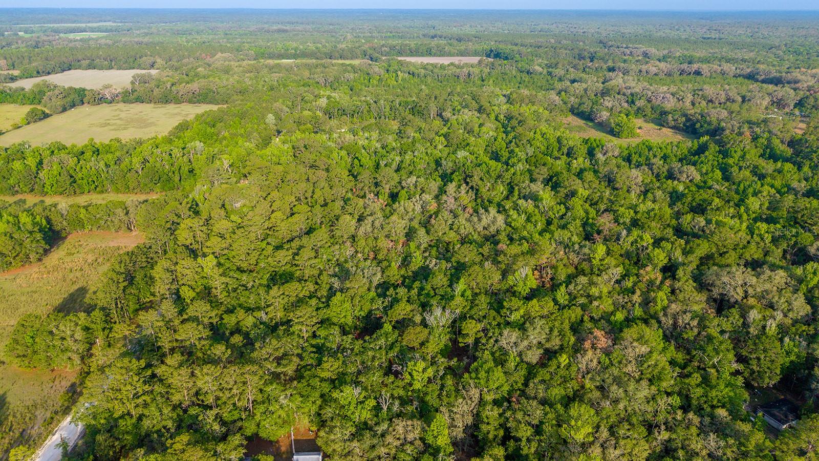 1708 NW 230TH PL, BROOKER, FL, 32622