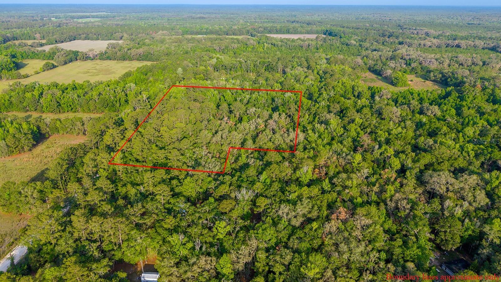 1708 NW 230TH PL, BROOKER, FL, 32622