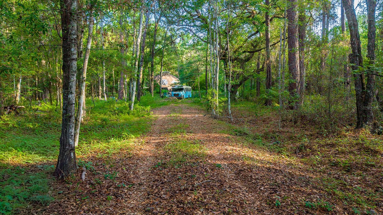 1708 NW 230TH PL, BROOKER, FL, 32622