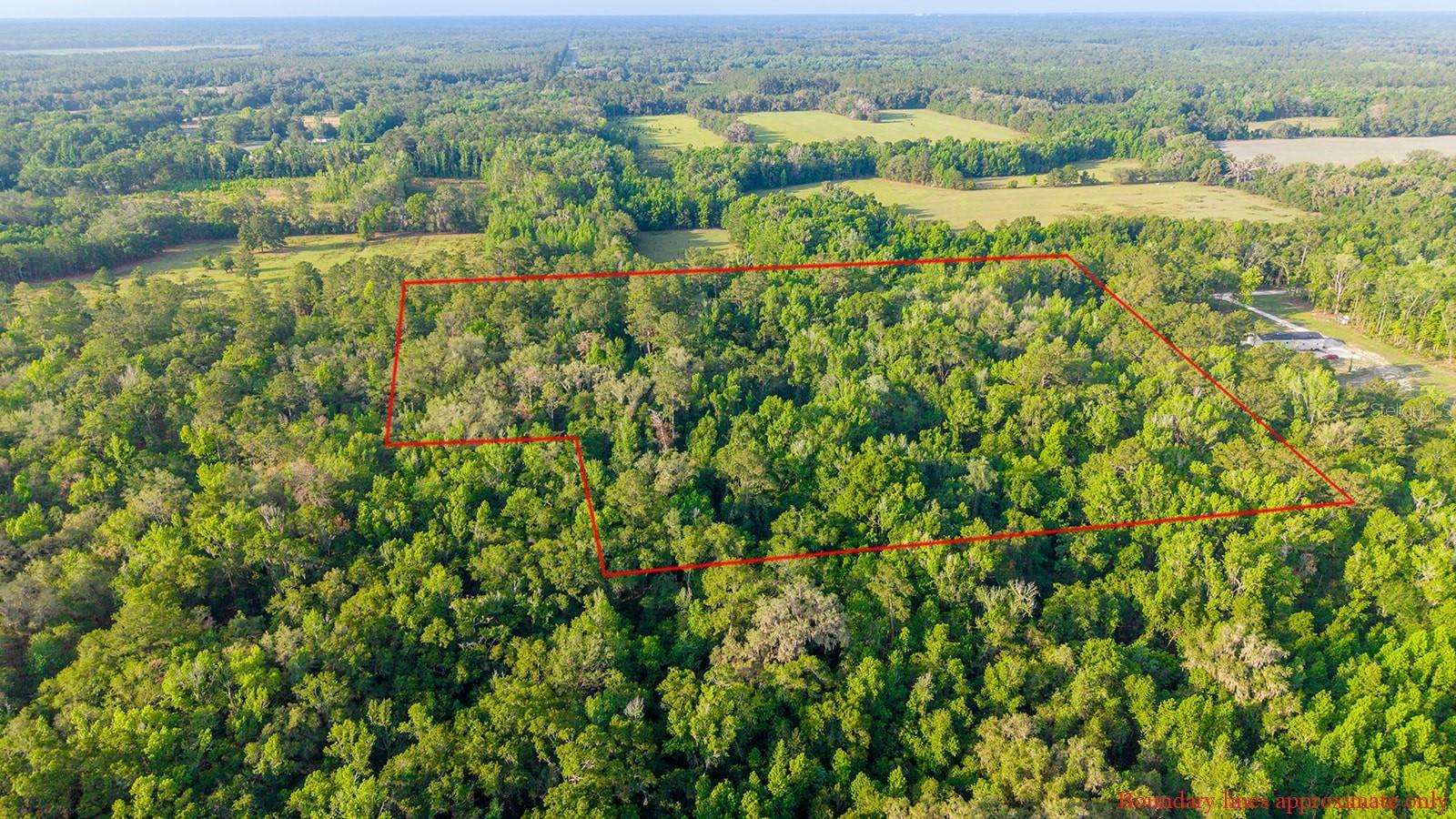 1708 NW 230TH PL, BROOKER, FL, 32622