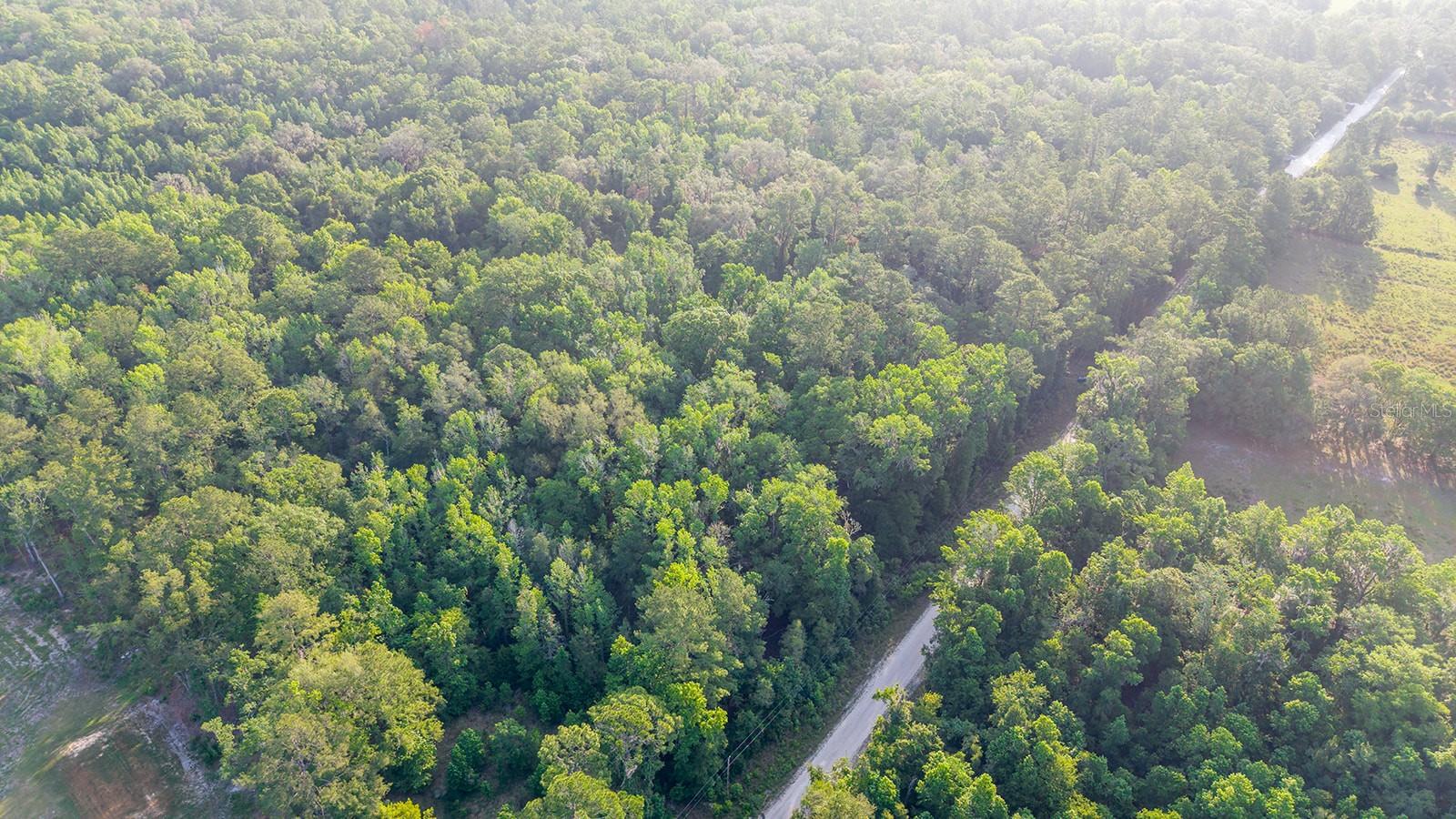 1708 NW 230TH PL, BROOKER, FL, 32622
