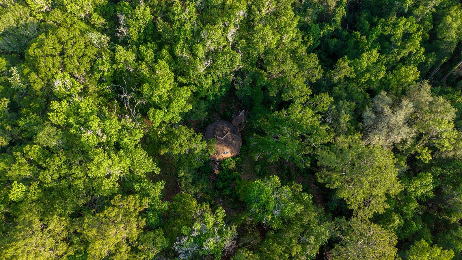 1708 NW 230TH PL, BROOKER, FL, 32622
