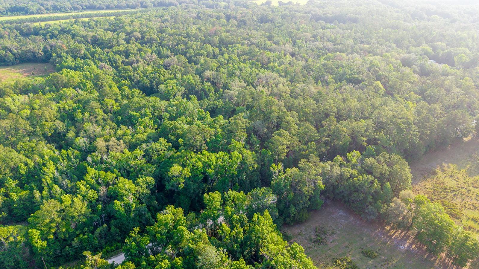 1708 NW 230TH PL, BROOKER, FL, 32622