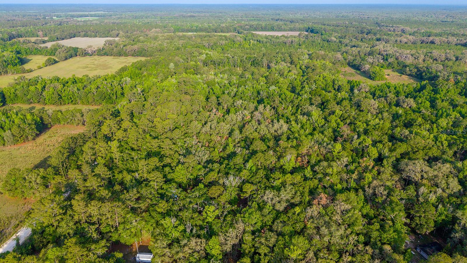 1708 NW 230TH PL, BROOKER, FL, 32622