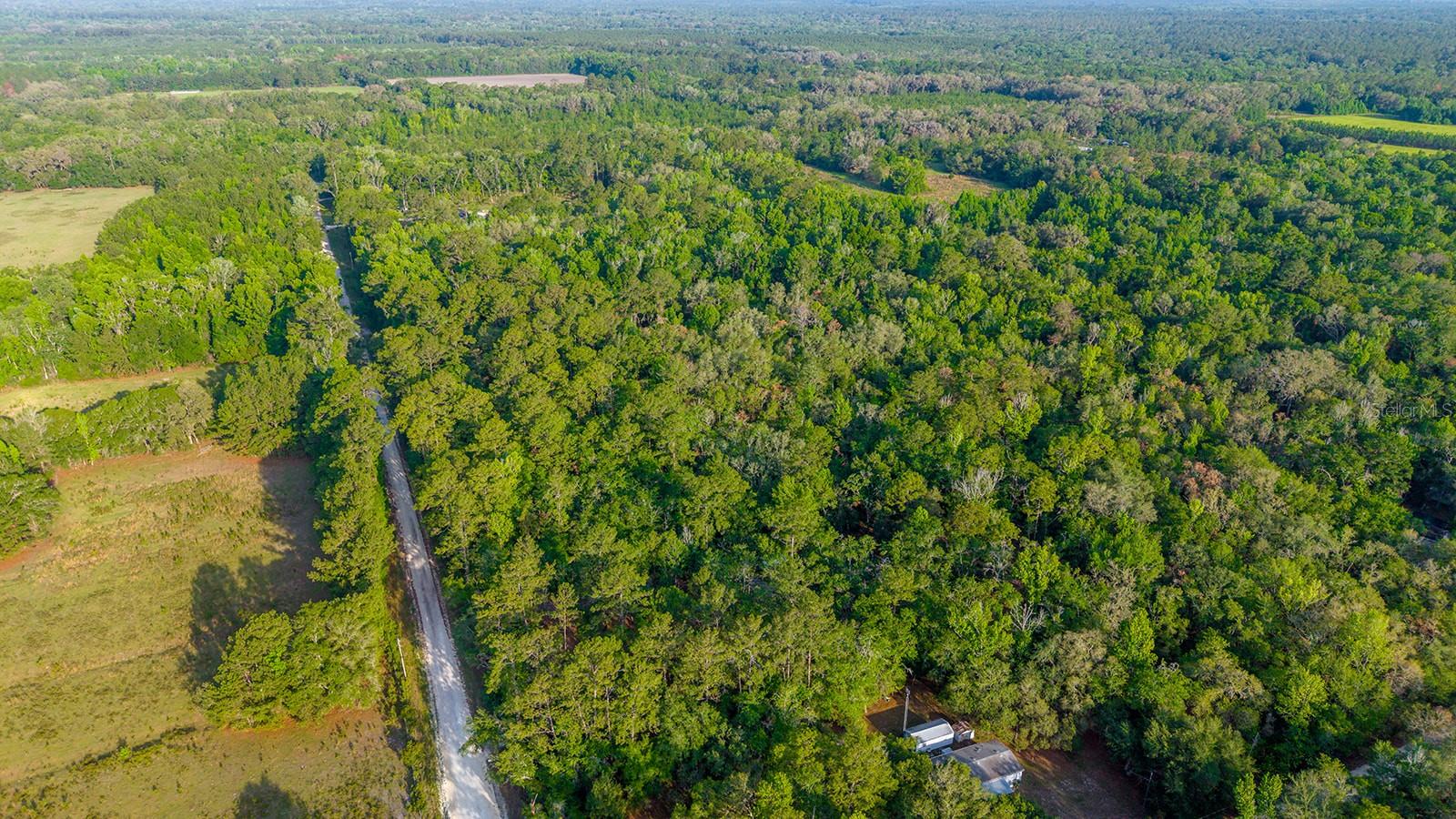 1708 NW 230TH PL, BROOKER, FL, 32622