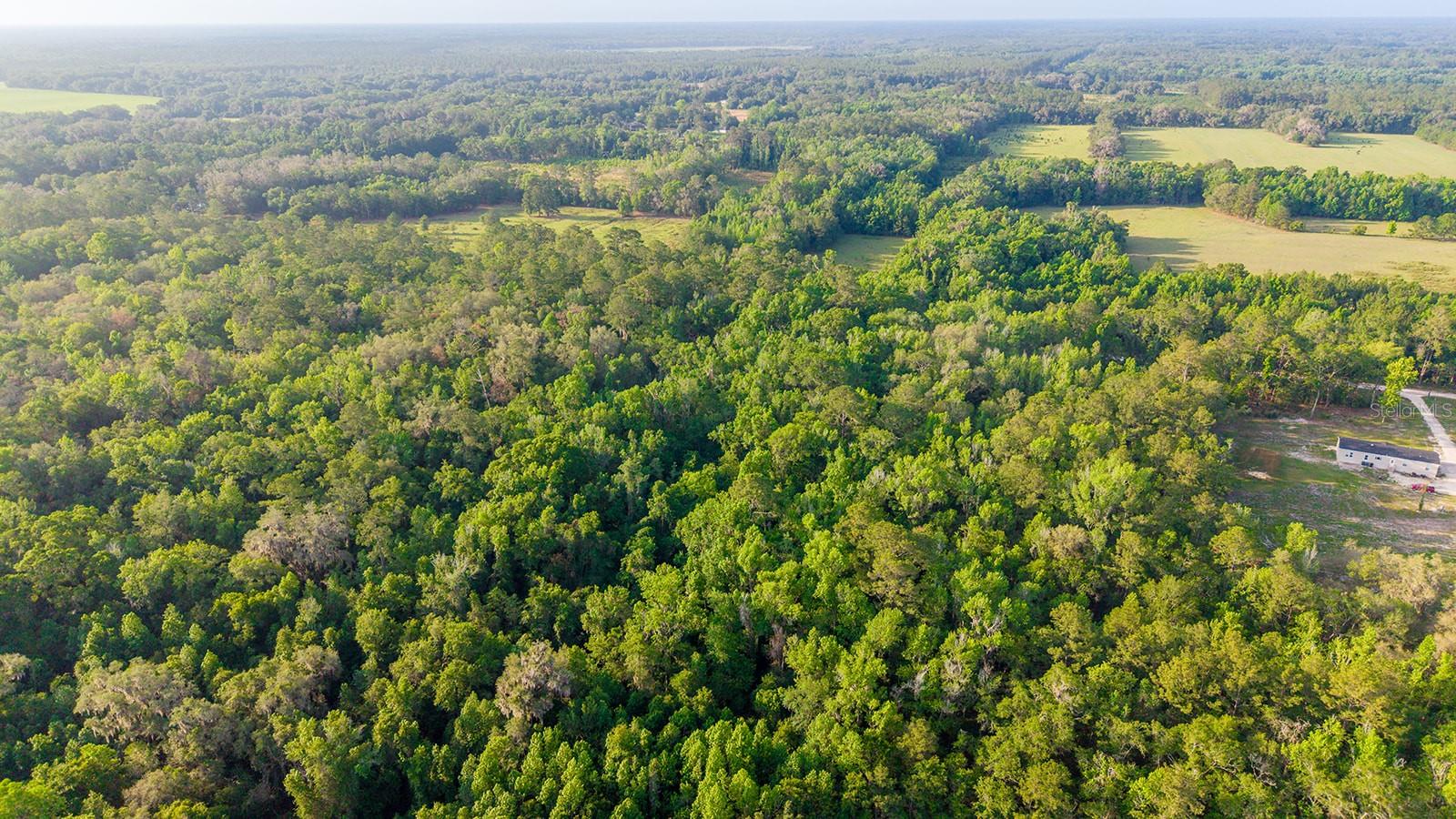 1708 NW 230TH PL, BROOKER, FL, 32622