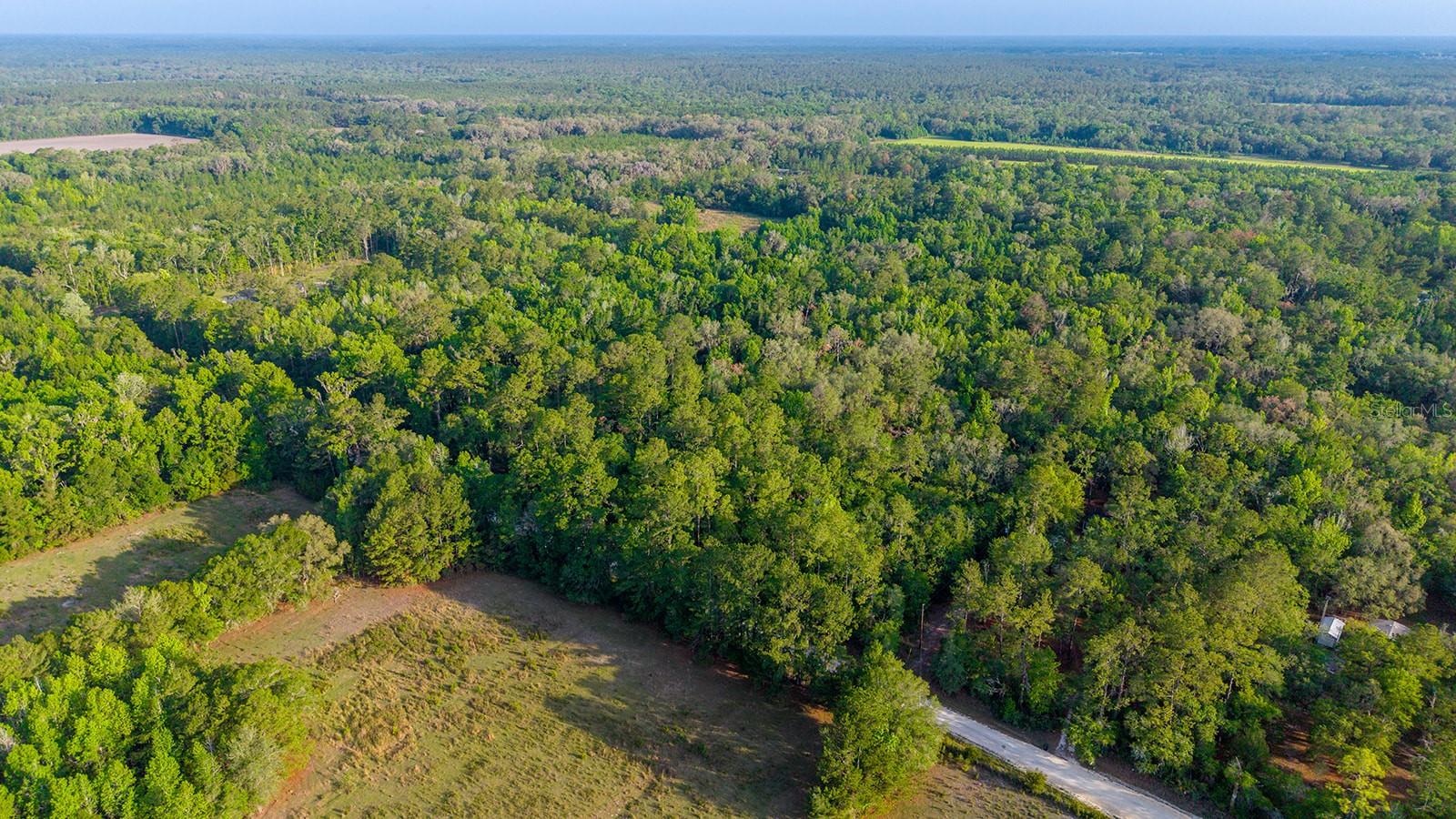 1708 NW 230TH PL, BROOKER, FL, 32622