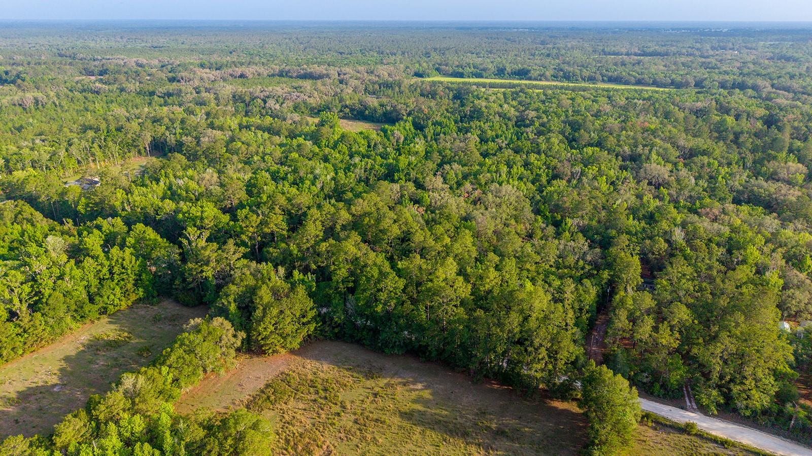 1708 NW 230TH PL, BROOKER, FL, 32622