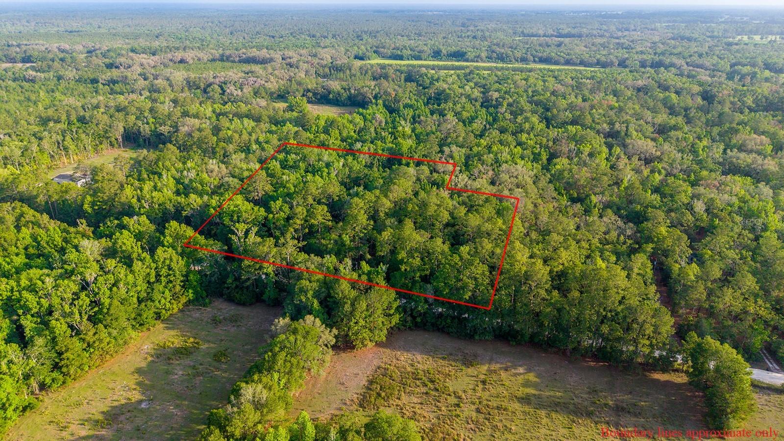 1708 NW 230TH PL, BROOKER, FL, 32622