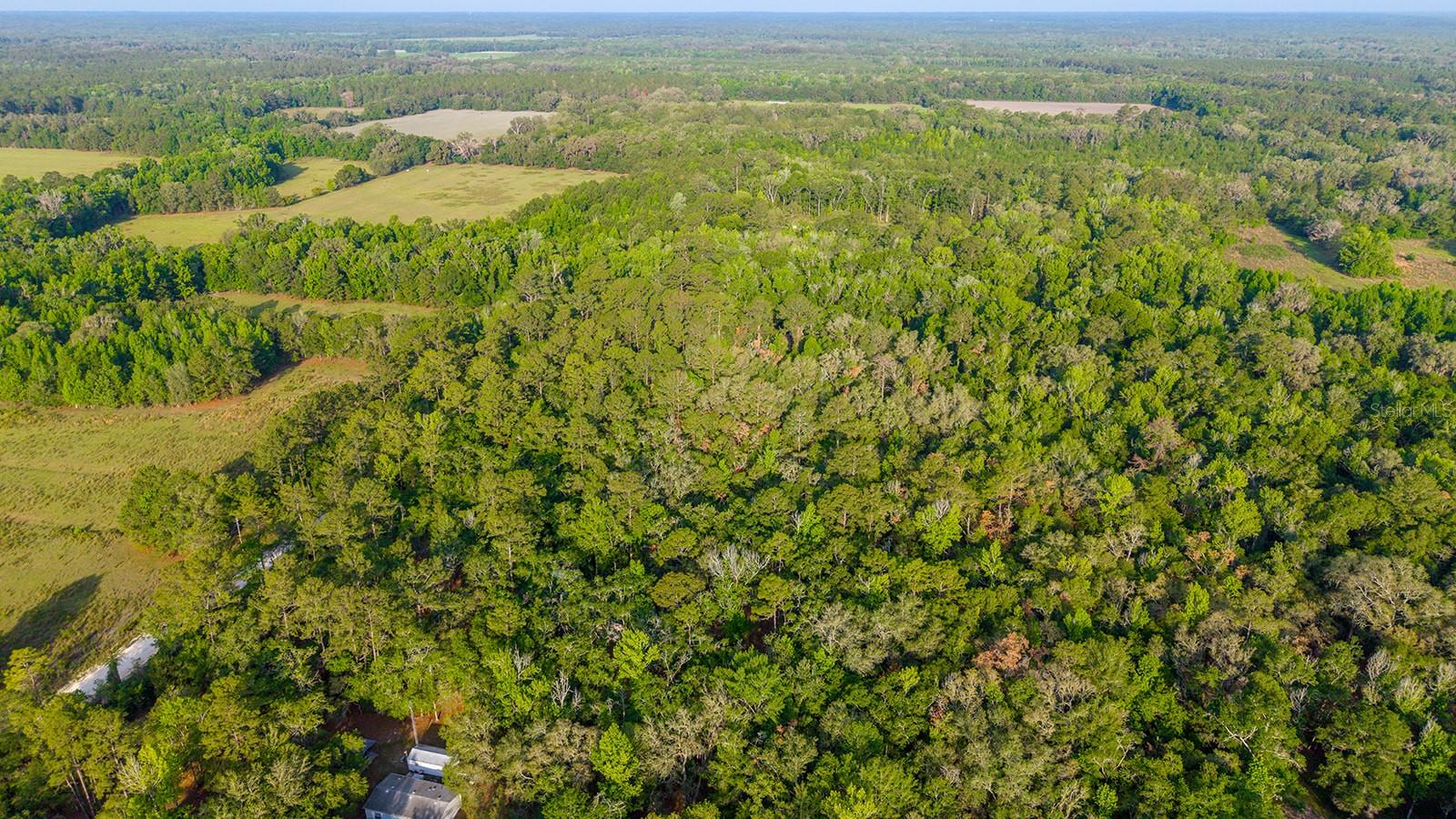 1708 NW 230TH PL, BROOKER, FL, 32622