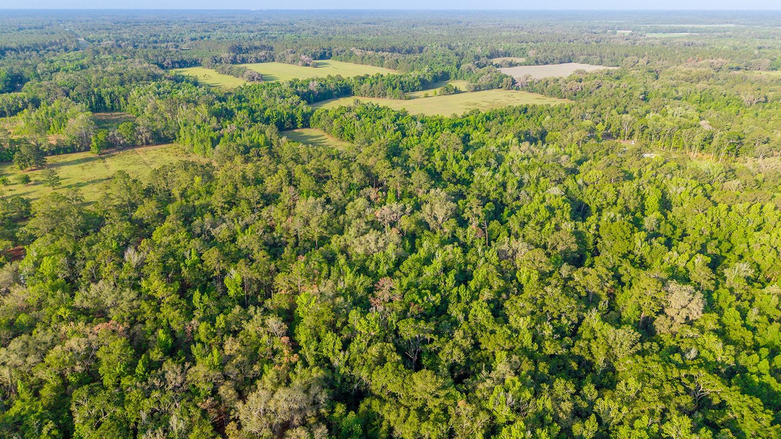 1708 NW 230TH PL, BROOKER, FL, 32622