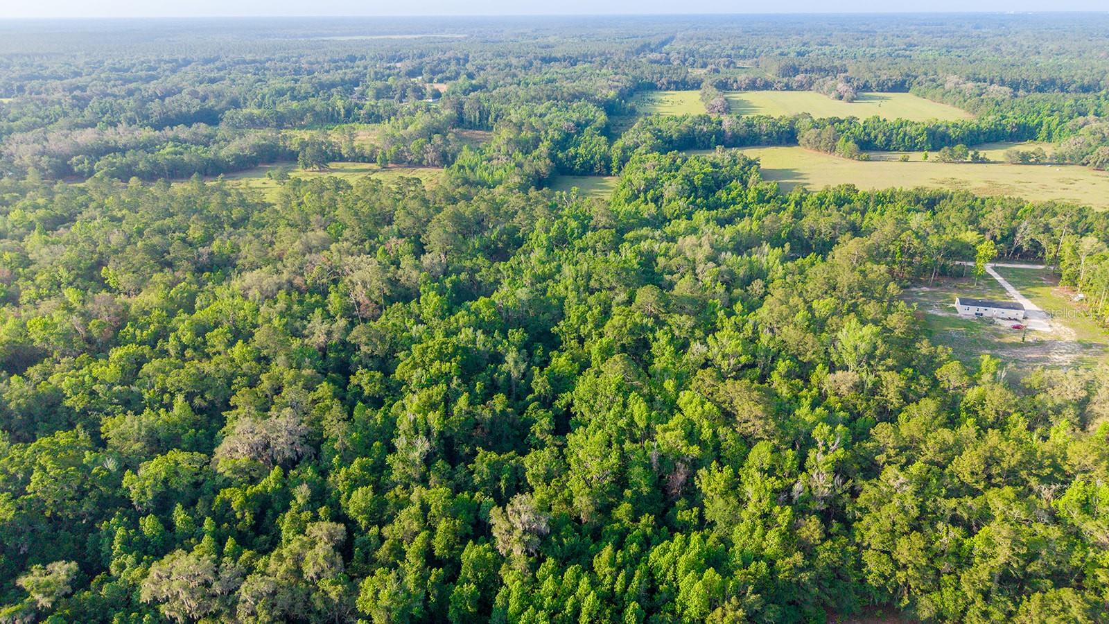 1708 NW 230TH PL, BROOKER, FL, 32622