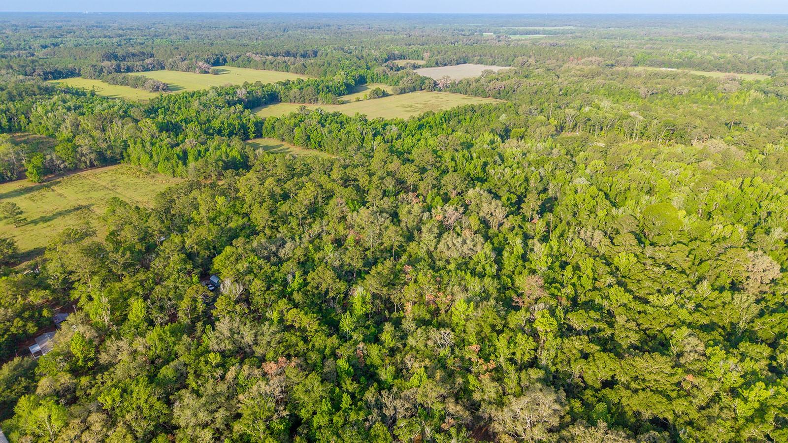1708 NW 230TH PL, BROOKER, FL, 32622