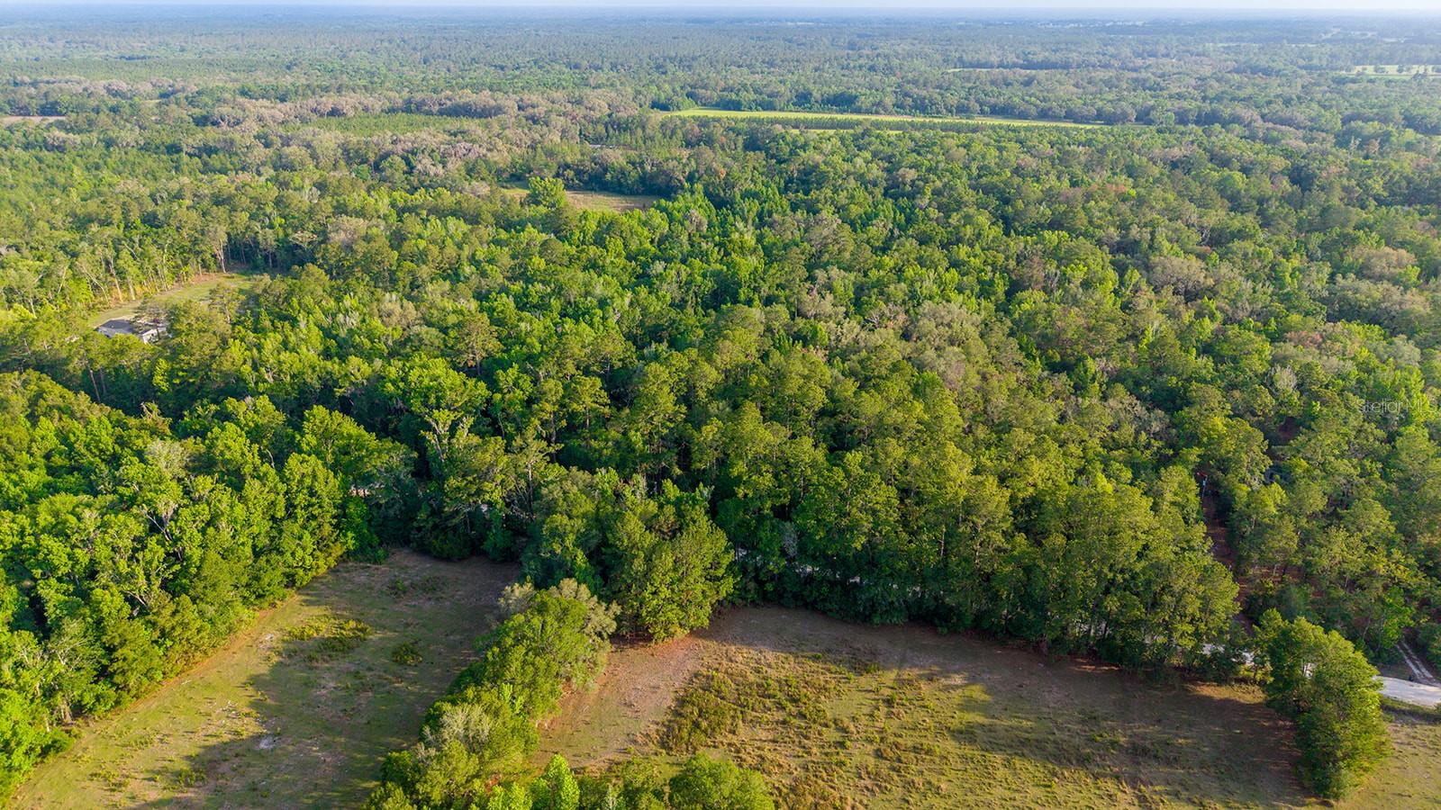 1708 NW 230TH PL, BROOKER, FL, 32622