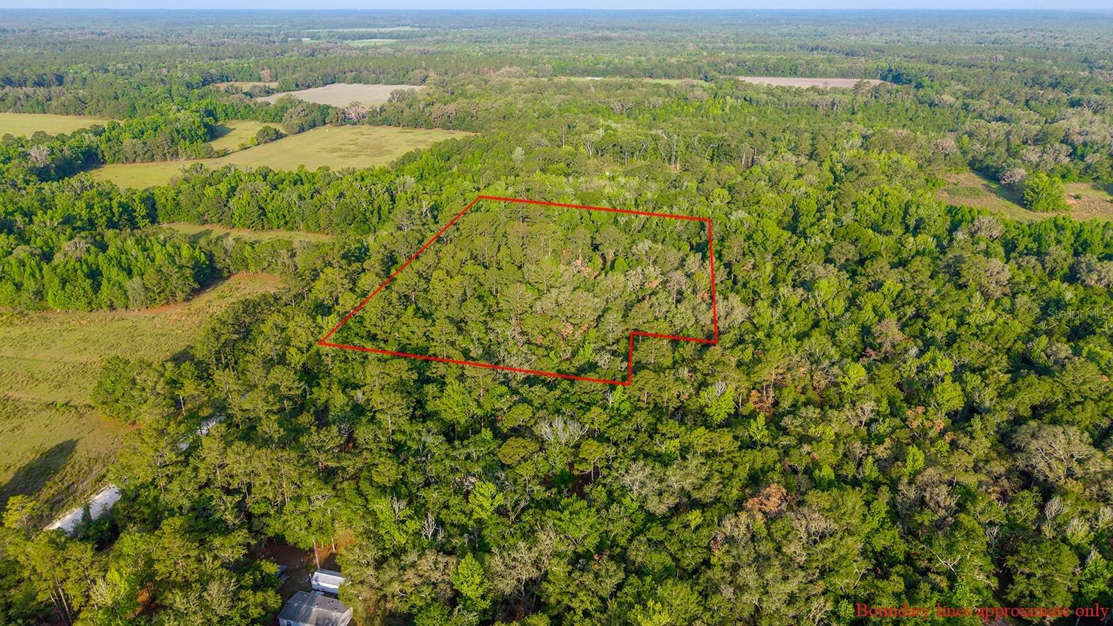 1708 NW 230TH PL, BROOKER, FL, 32622