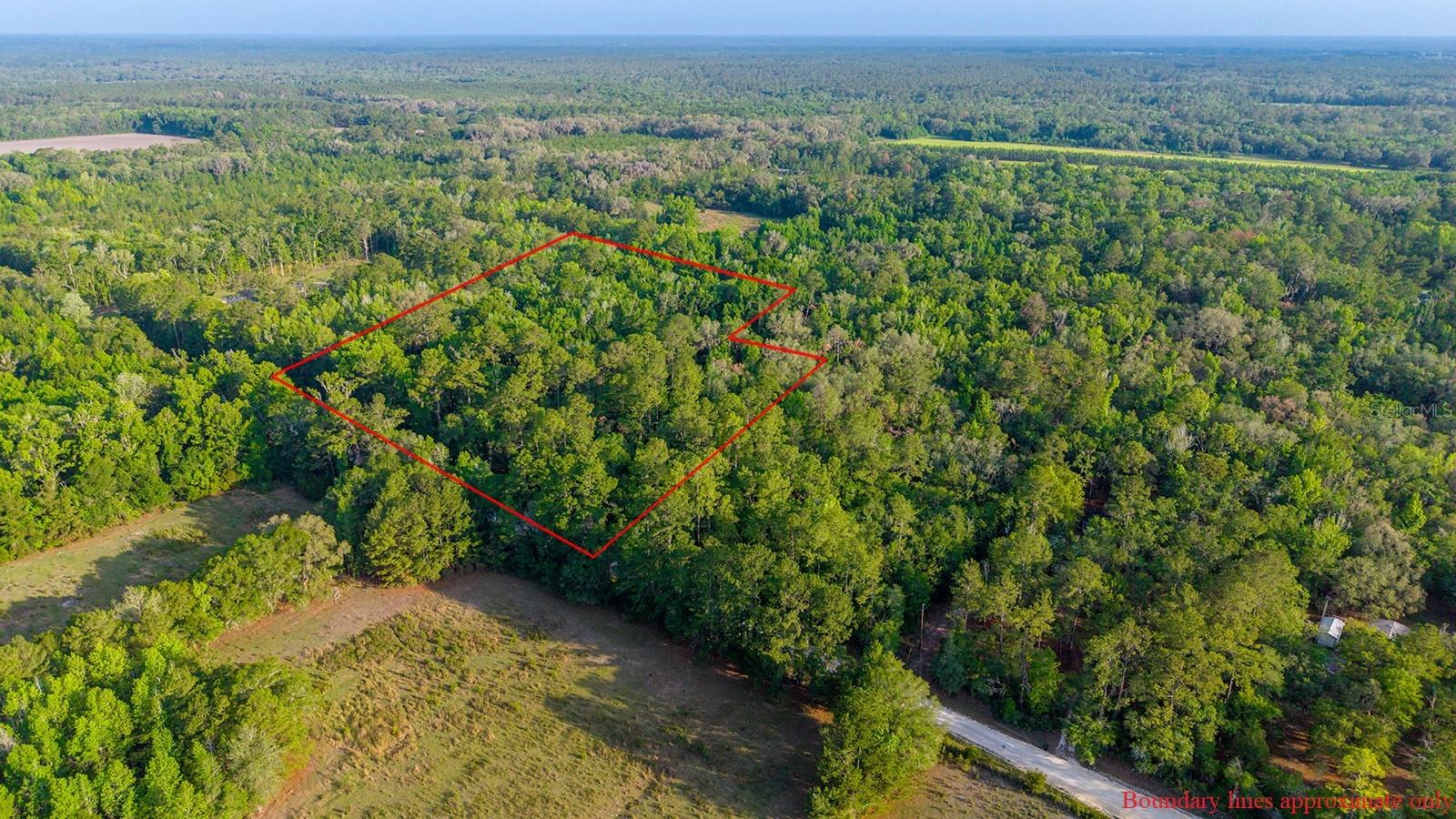 1708 NW 230TH PL, BROOKER, FL, 32622