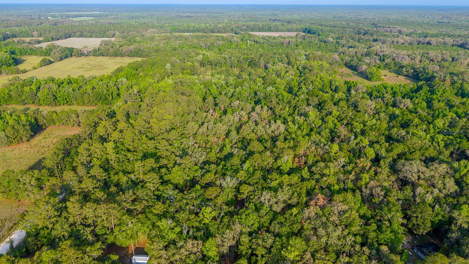 1708 NW 230TH PL, BROOKER, FL, 32622