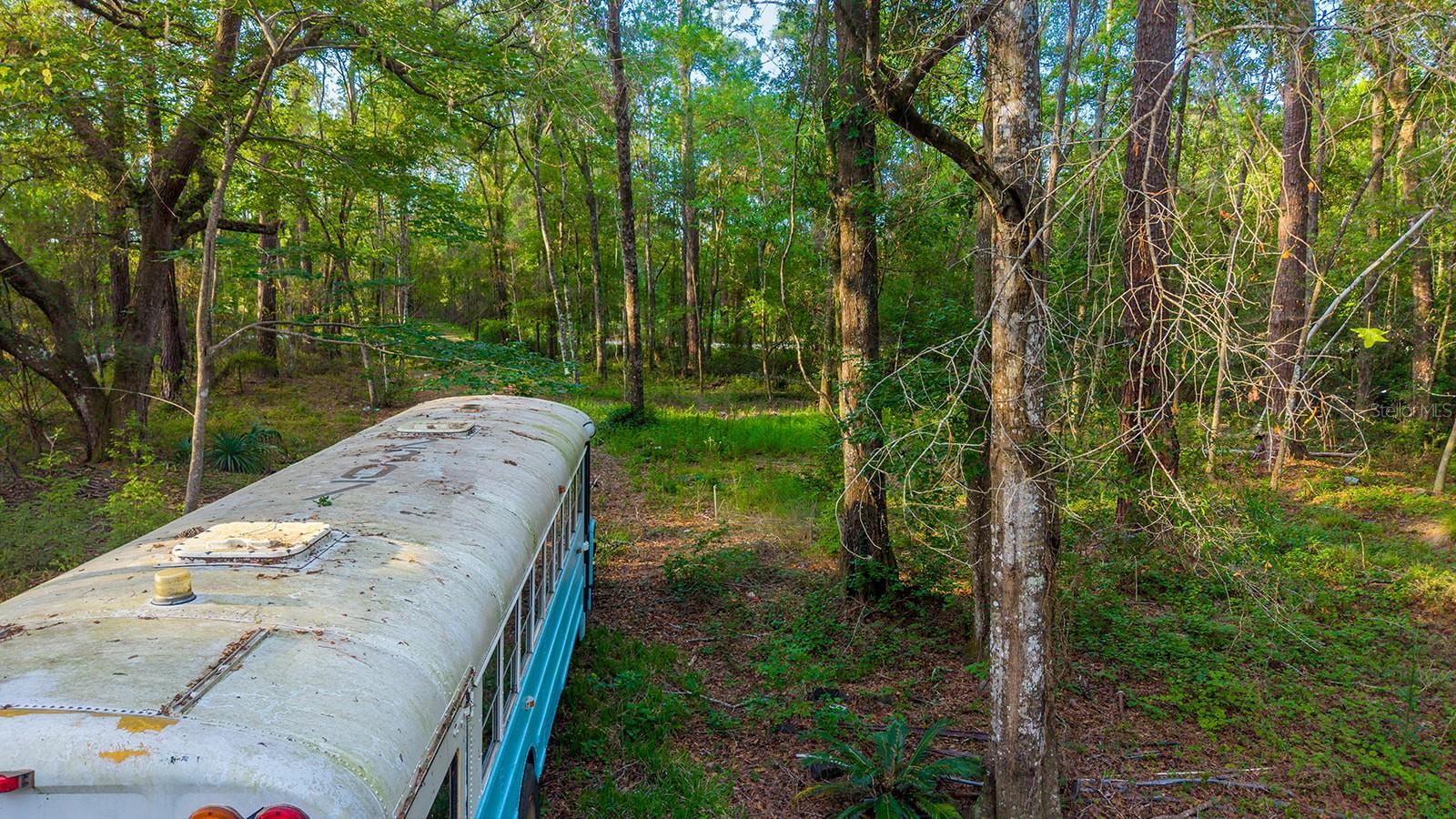 1708 NW 230TH PL, BROOKER, FL, 32622
