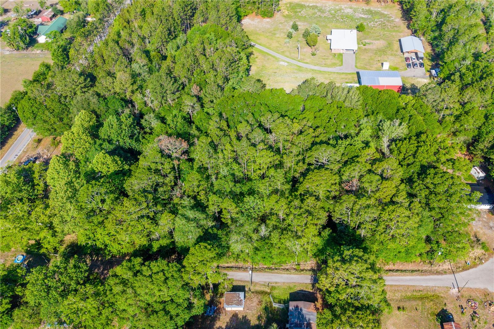 NW 37TH LN, STARKE, FL, 32091