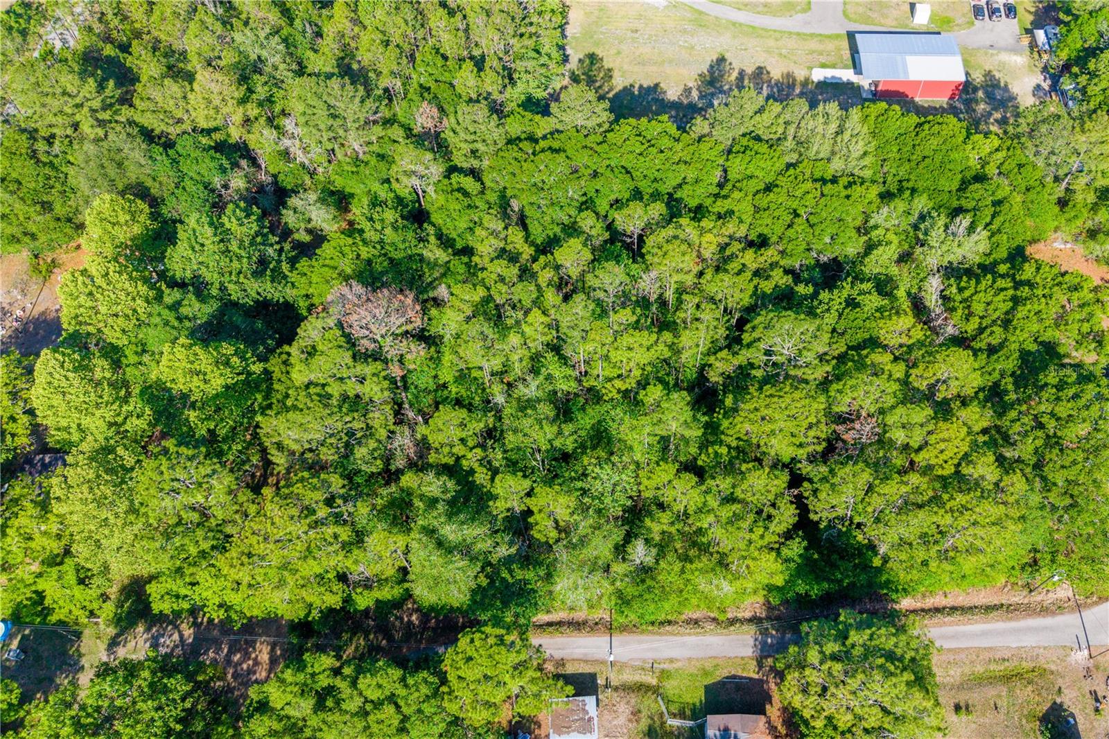 NW 37TH LN, STARKE, FL, 32091