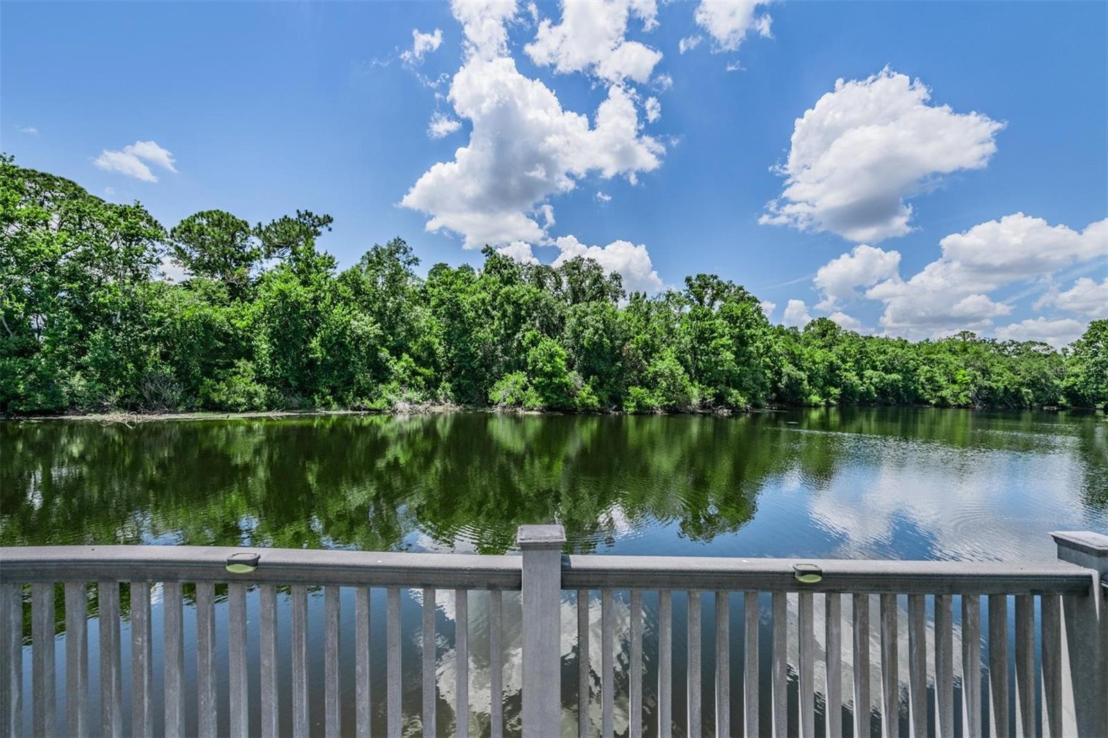 3817 NICHOLAS CT, TARPON SPRINGS, FL, 34688