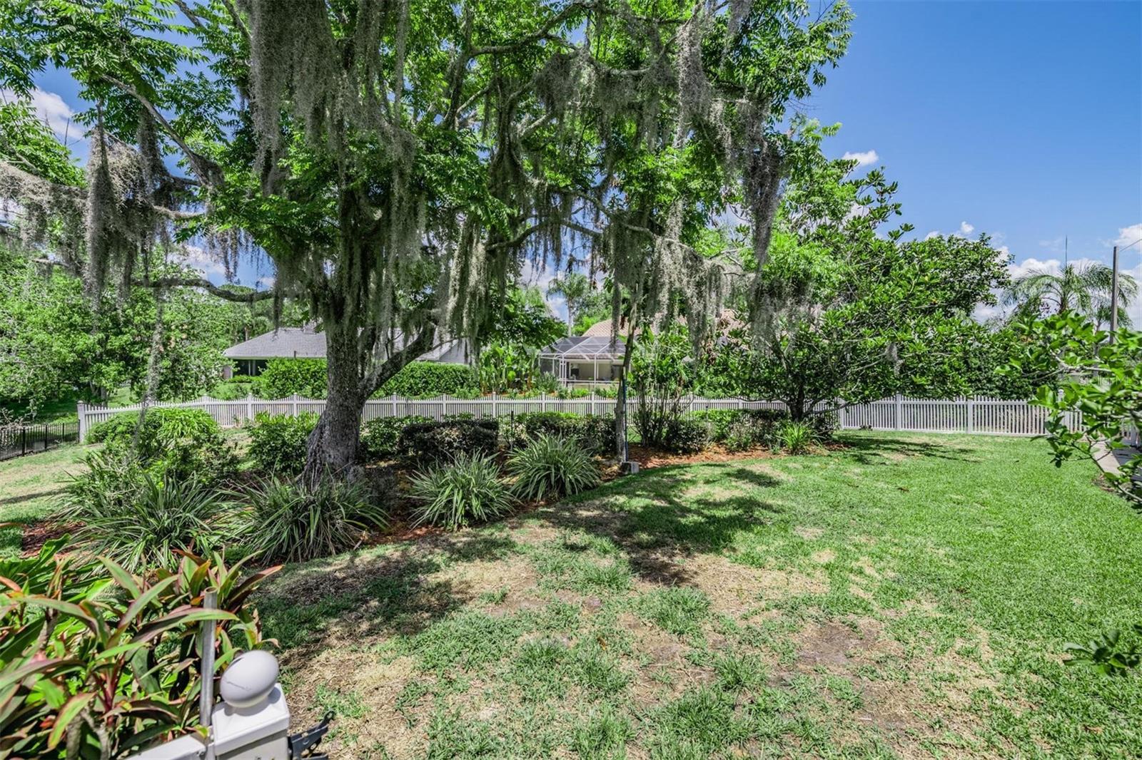 3817 NICHOLAS CT, TARPON SPRINGS, FL, 34688