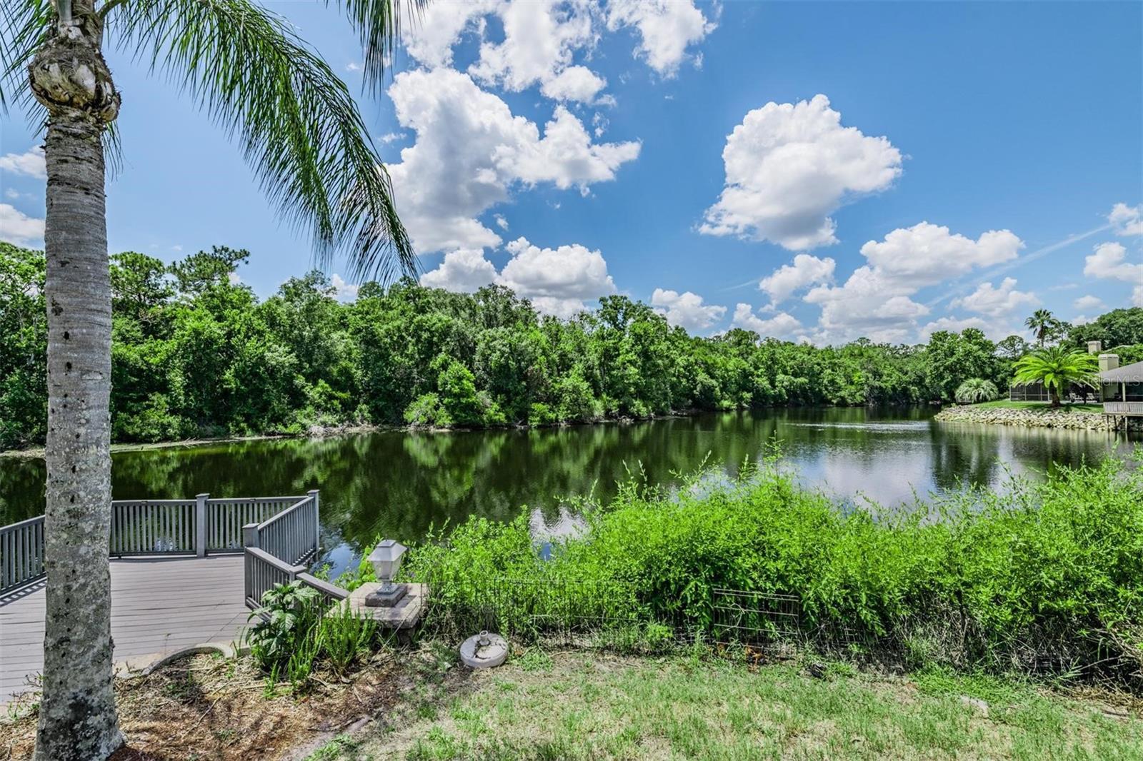3817 NICHOLAS CT, TARPON SPRINGS, FL, 34688