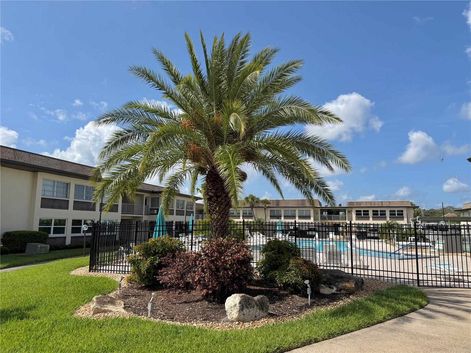 5108 AMULET DR #205, NEW PORT RICHEY, FL, 34652