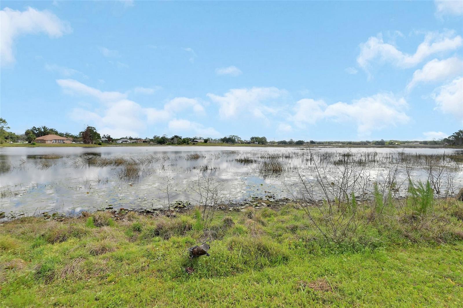 2446 ALTON RD, DELTONA, FL, 32738