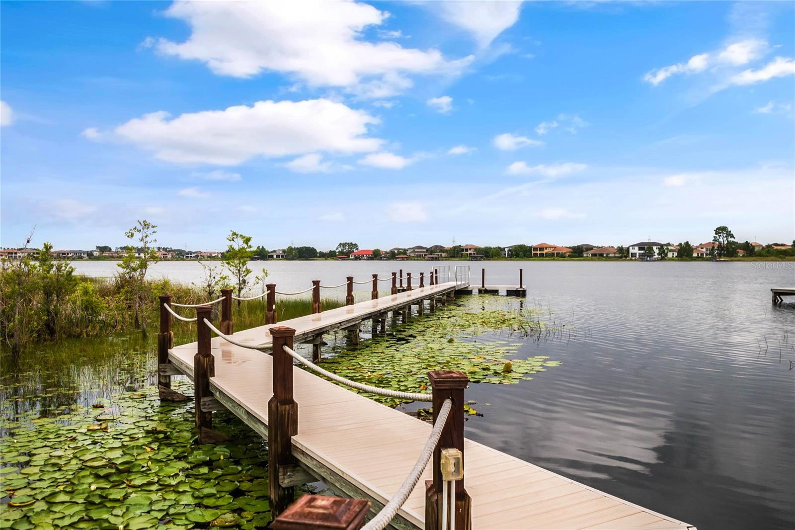 11524 CLAYMONT CIR, WINDERMERE, FL, 34786