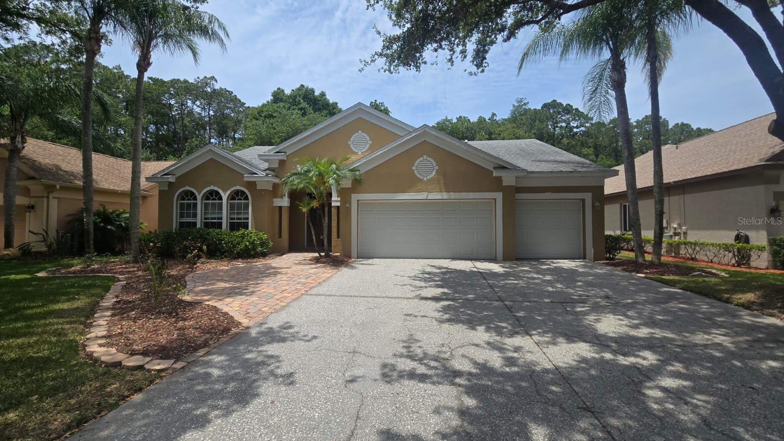 4602 ENRIGHT DR, PALM HARBOR, FL, 34685