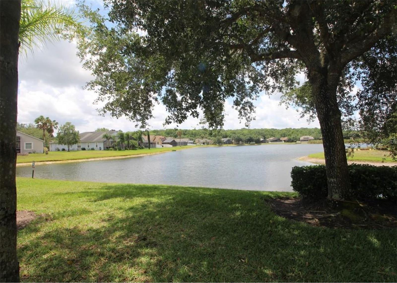 10842 WILD COTTON CT, LAND O LAKES, FL, 34638