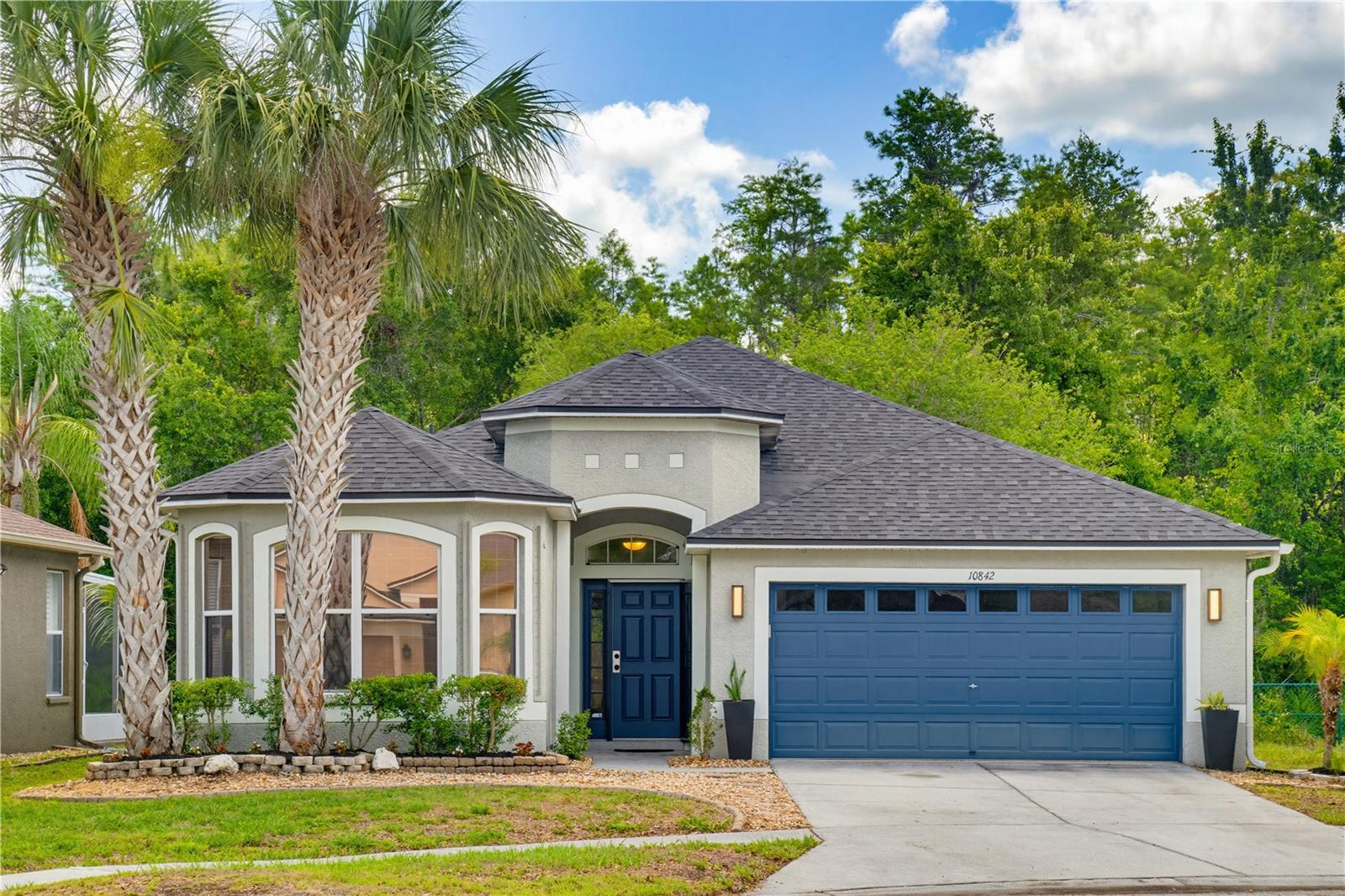 10842 WILD COTTON CT, LAND O LAKES, FL, 34638