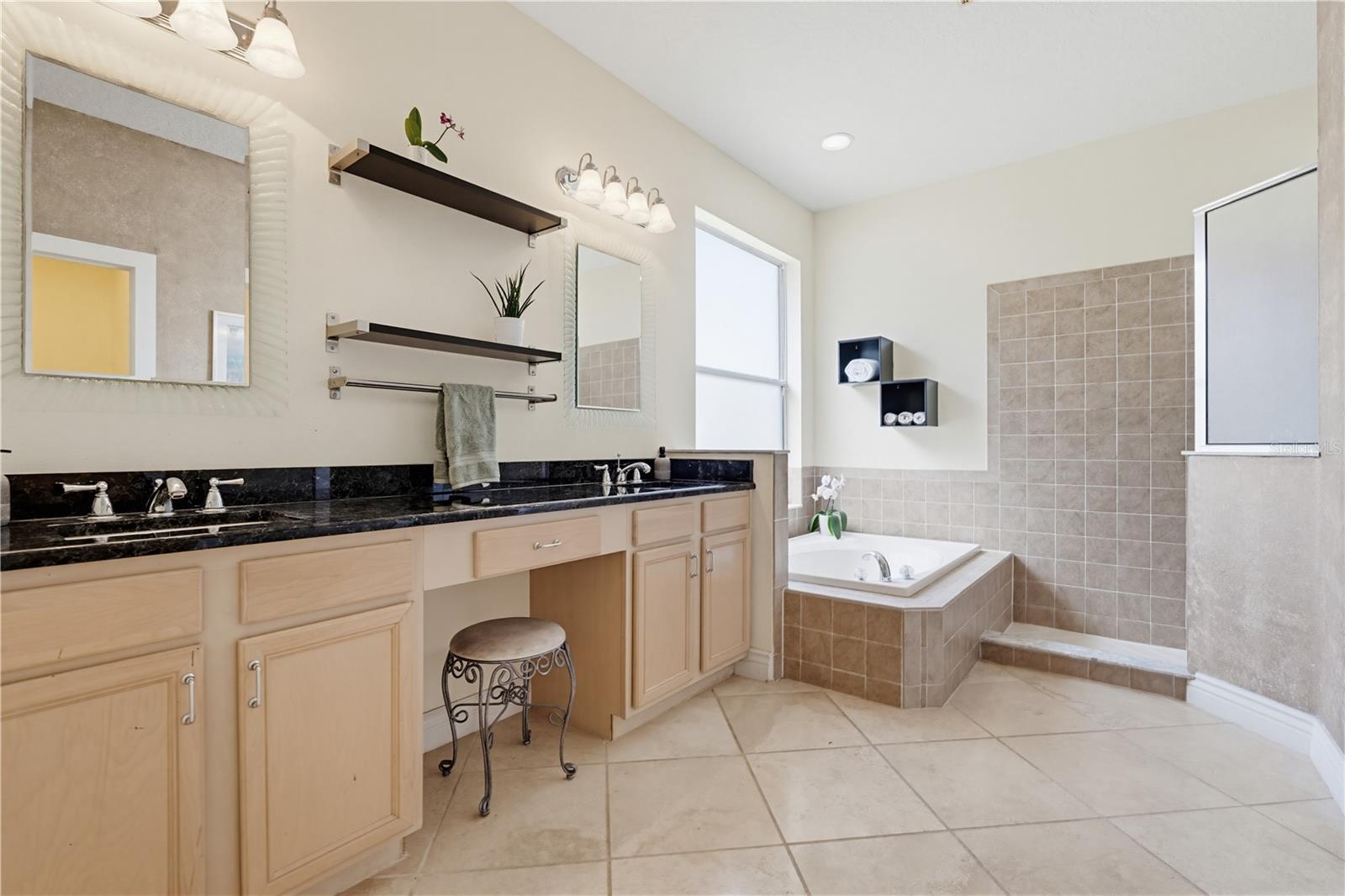 10842 WILD COTTON CT, LAND O LAKES, FL, 34638