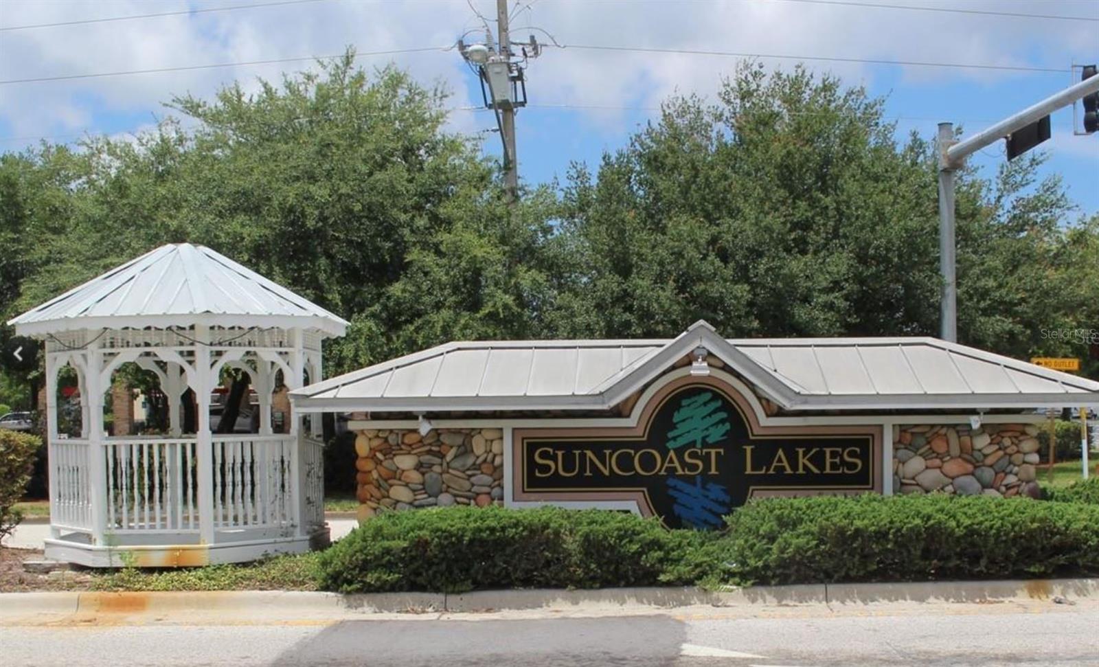 10842 WILD COTTON CT, LAND O LAKES, FL, 34638