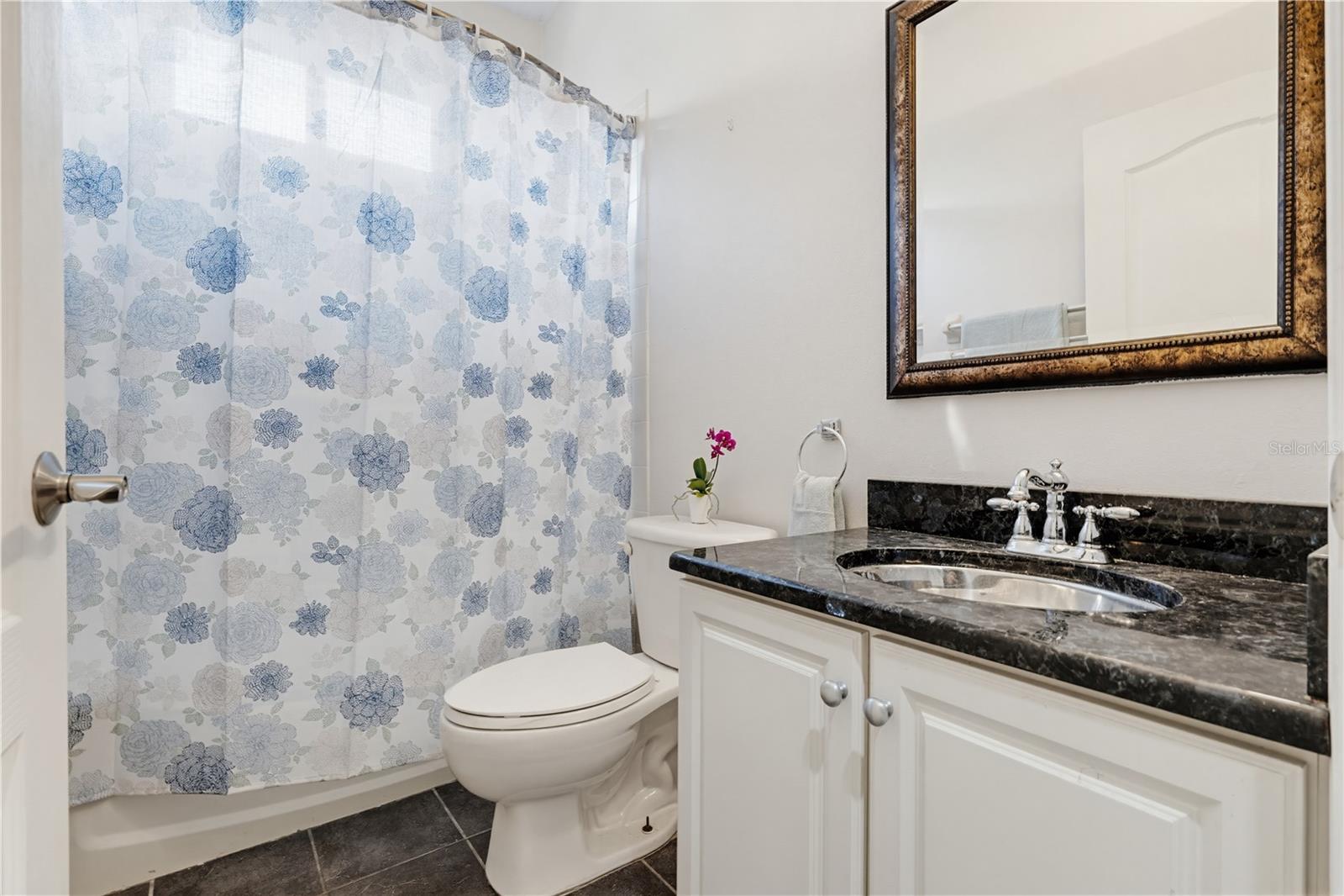 10842 WILD COTTON CT, LAND O LAKES, FL, 34638