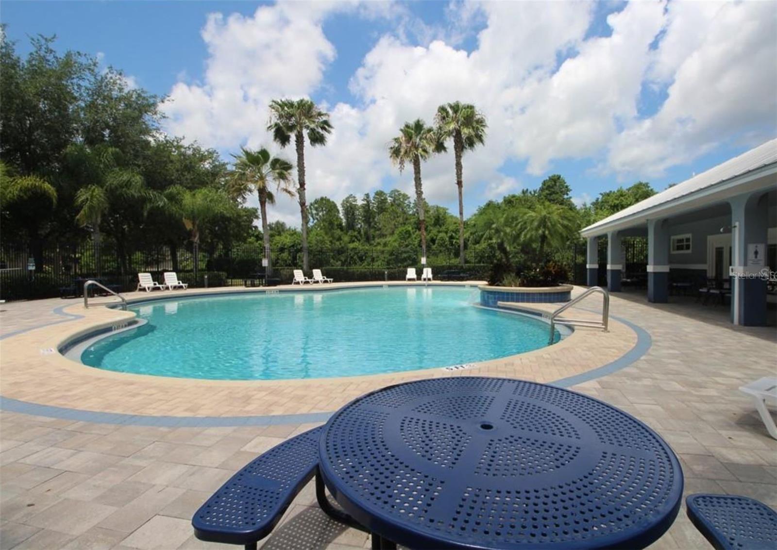 10842 WILD COTTON CT, LAND O LAKES, FL, 34638