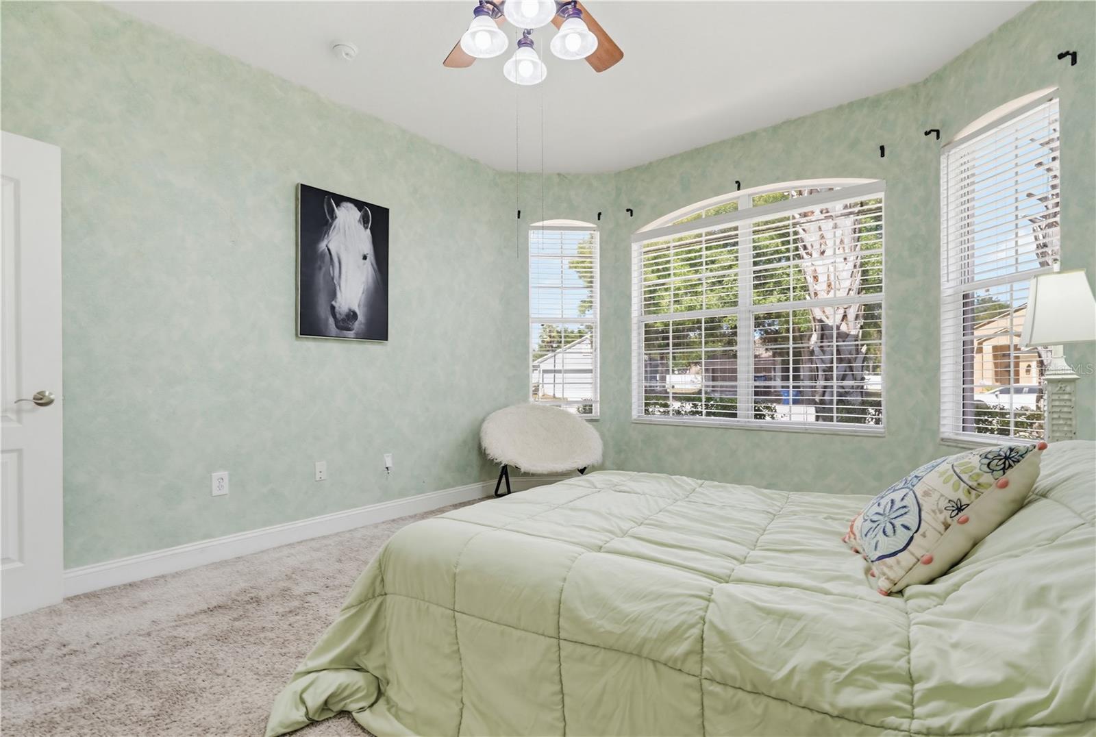 10842 WILD COTTON CT, LAND O LAKES, FL, 34638