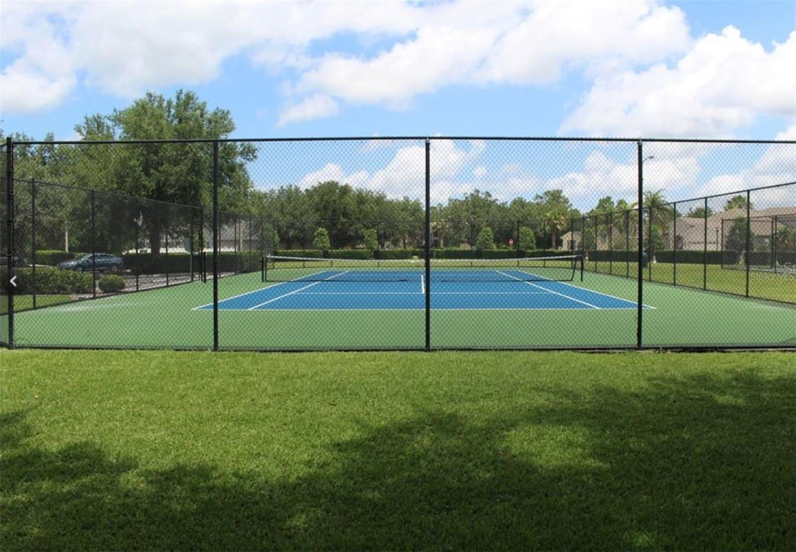 10842 WILD COTTON CT, LAND O LAKES, FL, 34638