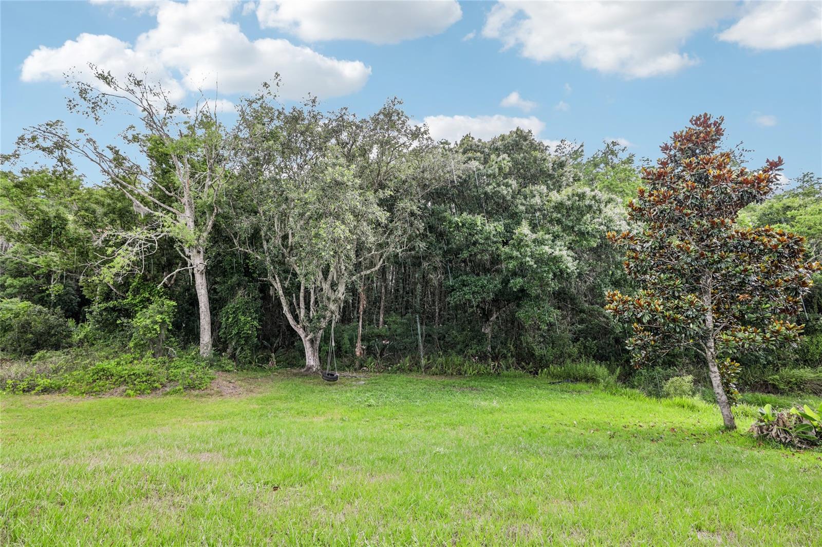 1982 LOCUST BERRY DR, KISSIMMEE, FL, 34743